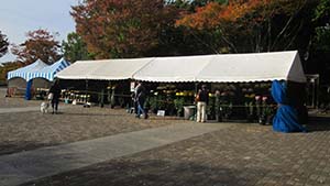 �N���b�N���Ċg��